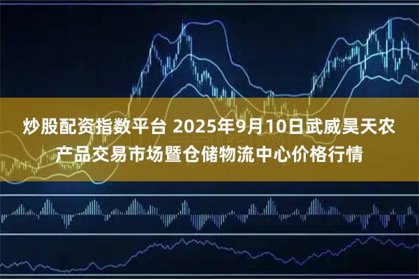炒股配资指数平台 2025年9月10日武威昊天农产品交易市场暨仓储物流中心价格行情